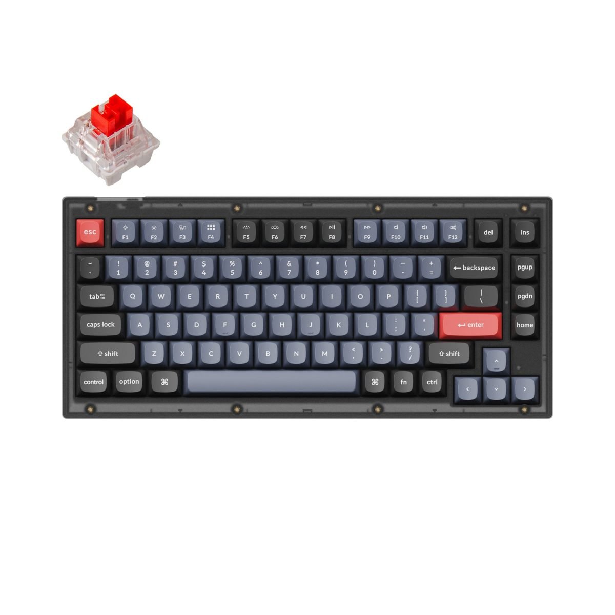 Keychron V1 Custom Mechanical Keyboard frosted black K Pro
