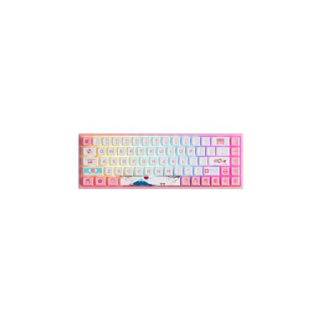 Akko 3068B Plus World Tour Tokyo R2 RGB Tri-Mode Mechanical Keyboard ...