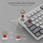 Royal Kludge N80 Low-Profile Mechanical Keyboard