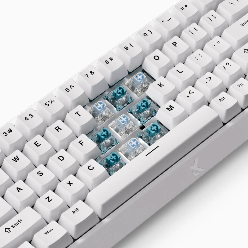 Fully_Customizable_Mixed_Switches_Setup_Mchose Ace 68 (Esports) HE Gaming Keyboard