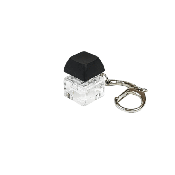 Switch Keychain