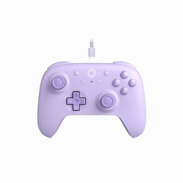 8BitDo Ultimate 2C Wired Gaming Controller - purple