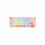 VGN N75 Pro Wireless Mechanical Keyboard