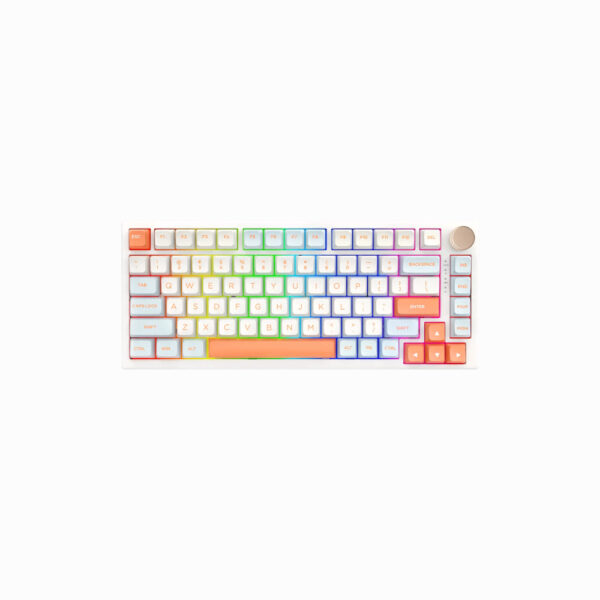 VGN N75 Pro Wireless Mechanical Keyboard