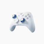 Flydigi Direwolf 4 Wireless Controller