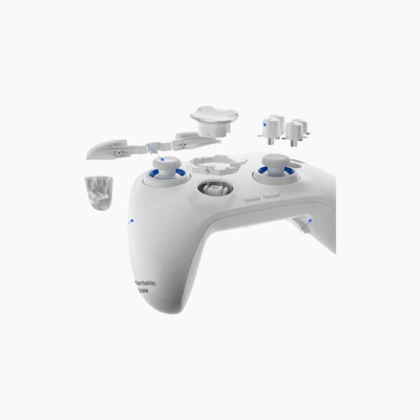 Flydigi Direwolf 4 Wireless Controller