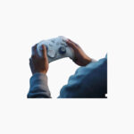 Flydigi Direwolf 4 Wireless Controller